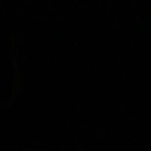 Meet your Posher, Brock